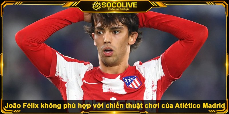Top 10 Thương Vụ Chuyển Nhượng Thất Bại Nhất Lịch Sử João Félix không phù hợp với chiến thuật chơi của Atlético Madrid